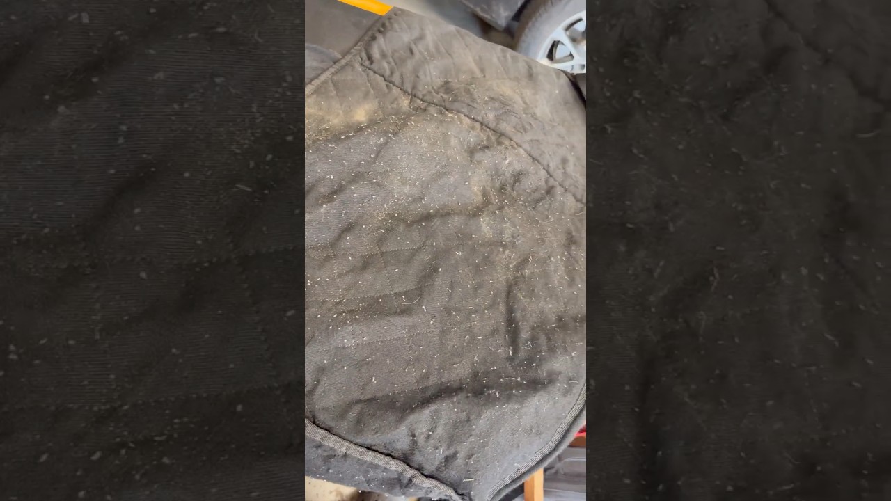 Fix a Gross Dog Seat Cover Fast: Clean + Repair